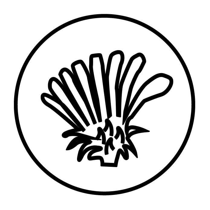 Grindelia (extract standardizat)