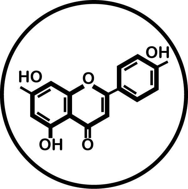 Apigenina (musetel)