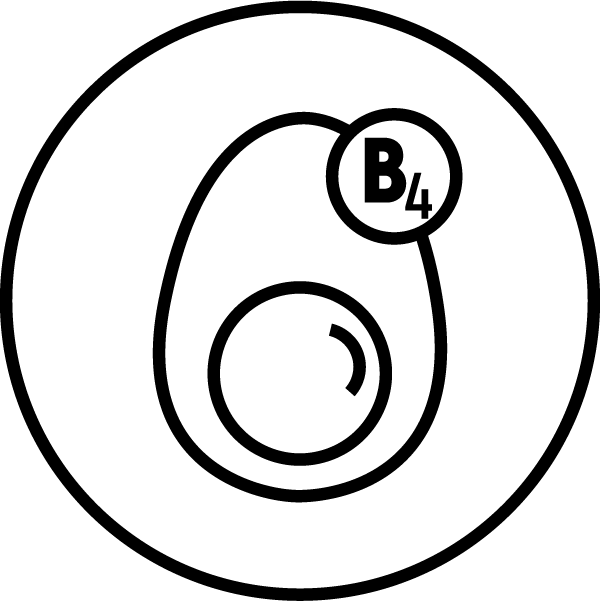 Choline