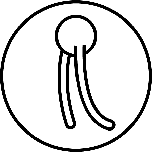 Essential phospholipids (EPL)