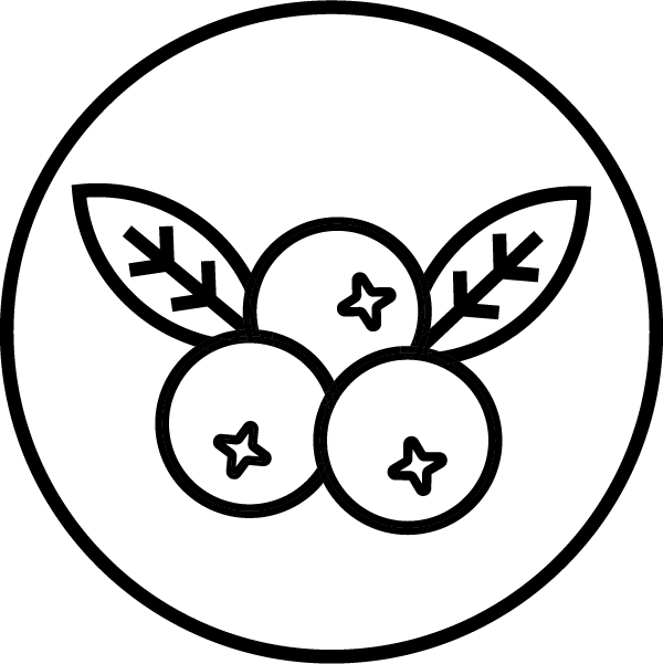 Merisor
