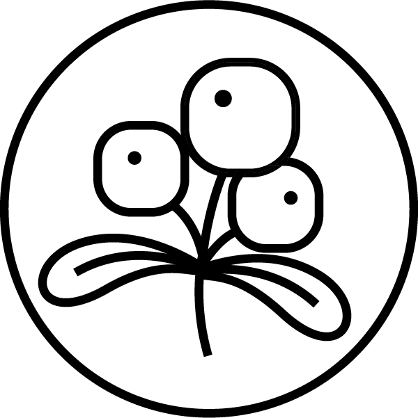 Strugurii-ursului
