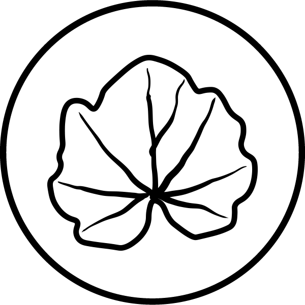 Extract standardizat de Melissa (Roinita)