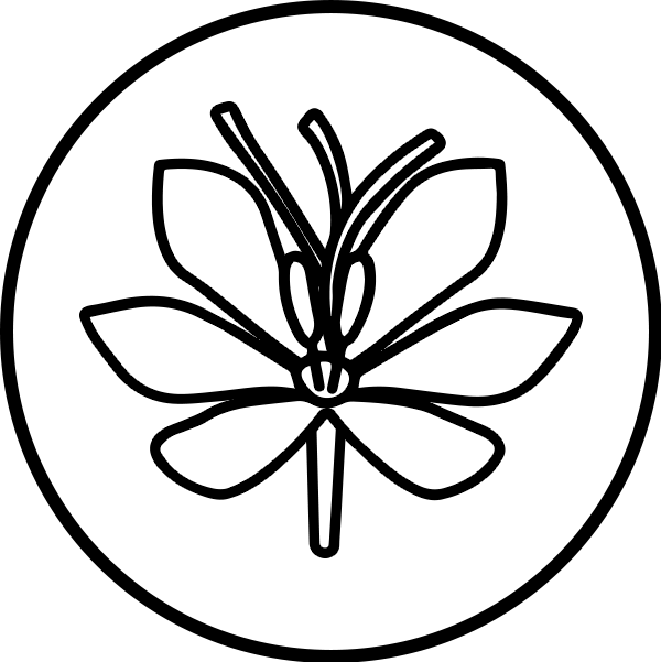 Extract standardizat de sofran