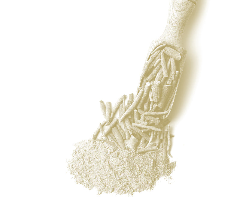 ASHWAGANDHA BIO Pulbere