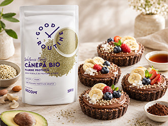 Tarta raw vegan cu ciocolata si canepa