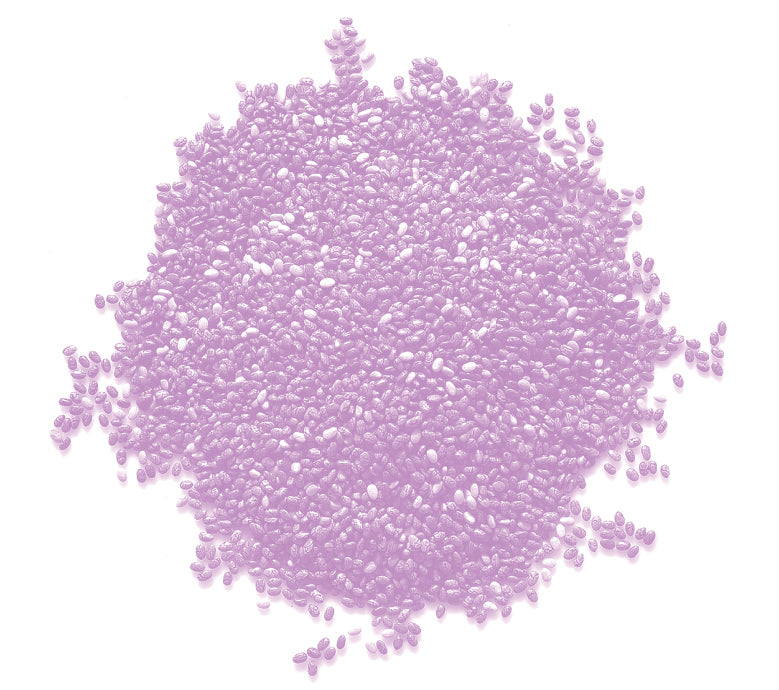 CHIA BIO Seminte