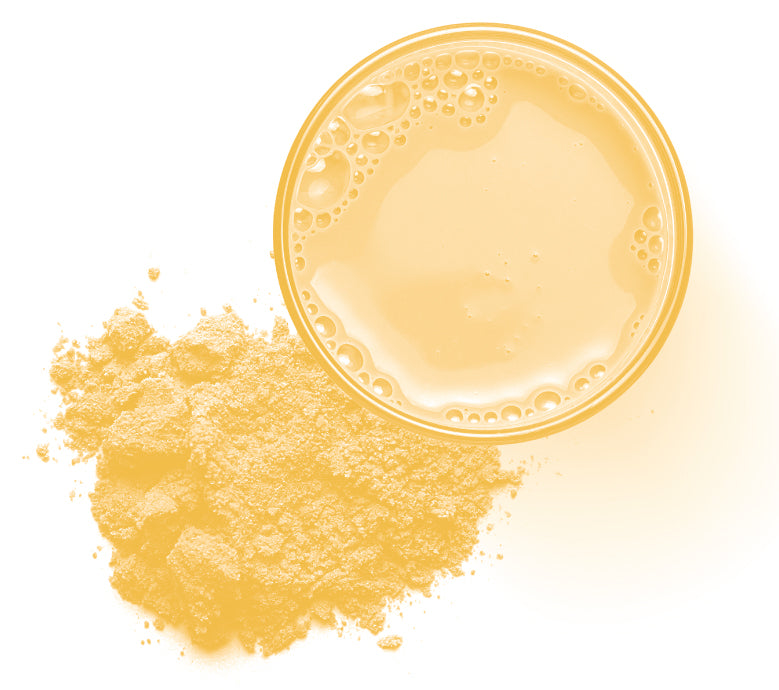 COLAGEN & MSM Pulbere