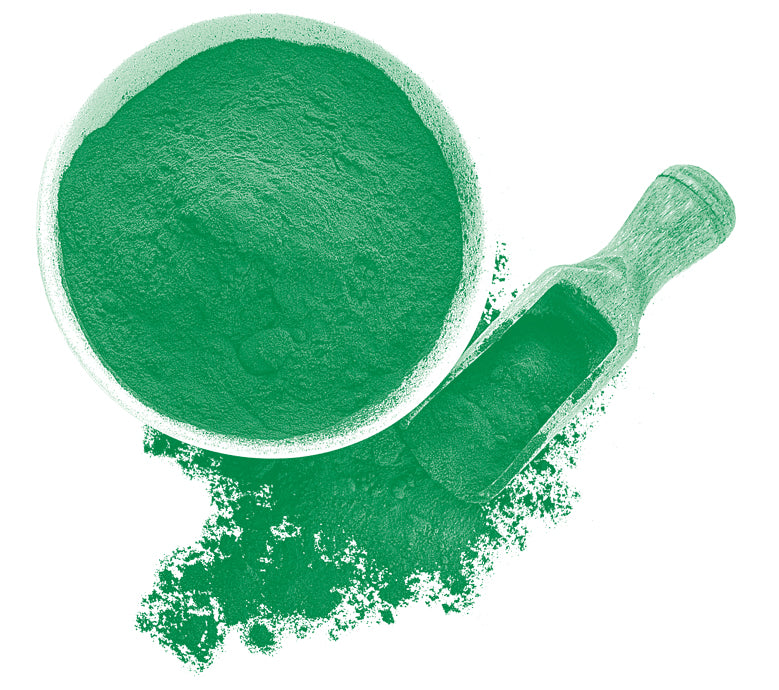 SPIRULINA BIO Pulbere
