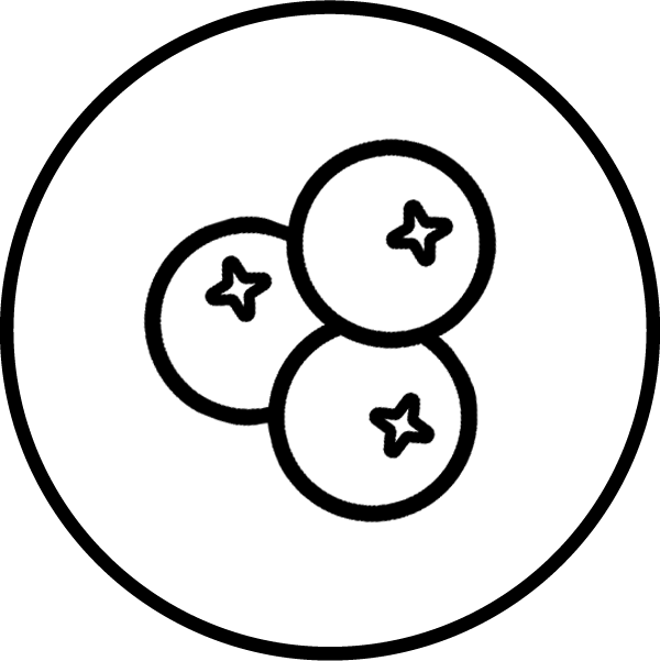 Extract standardizat în antocianine 5% (din fructe de afin) 