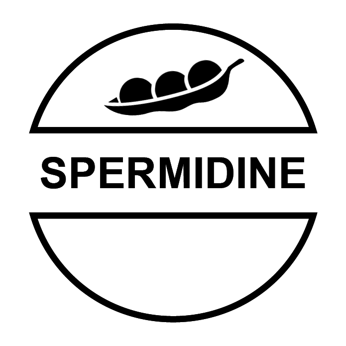 Spermidine [from pea (Pisum sativum) extract]  