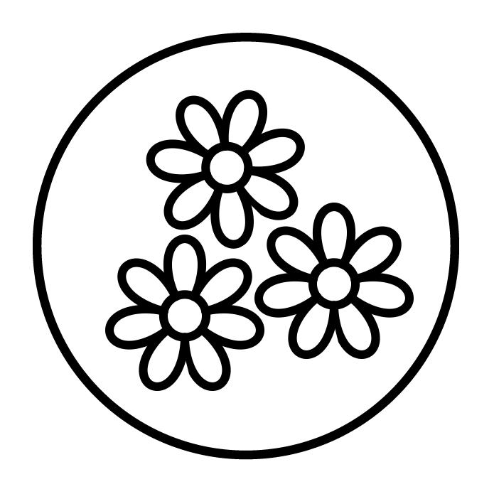 Musetel (extract standardizat din flori)