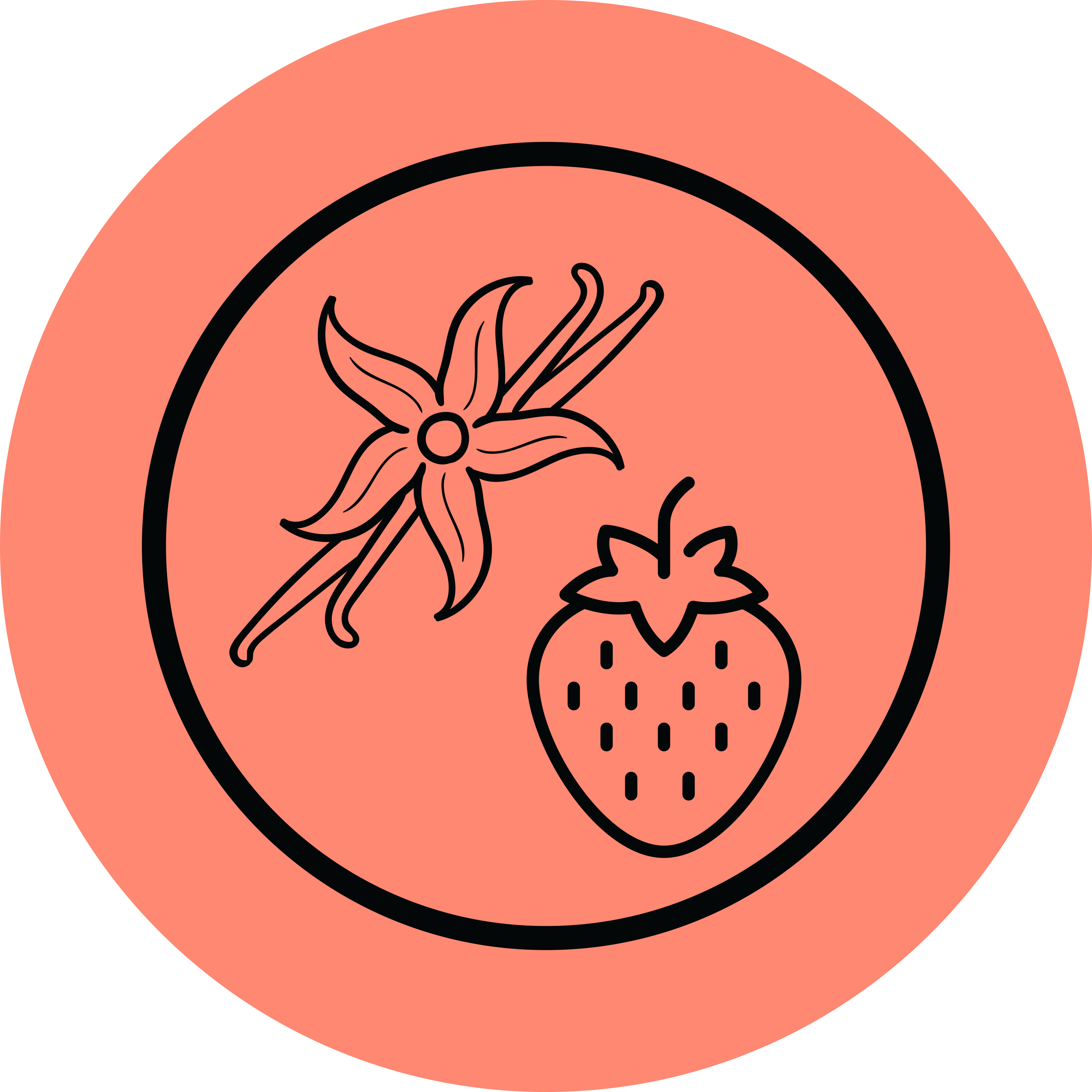 Gust de vanilie si capsuni