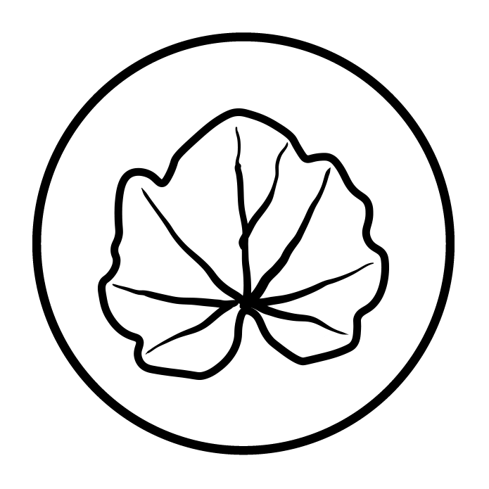 Roinita (extract standardizat din frunza)