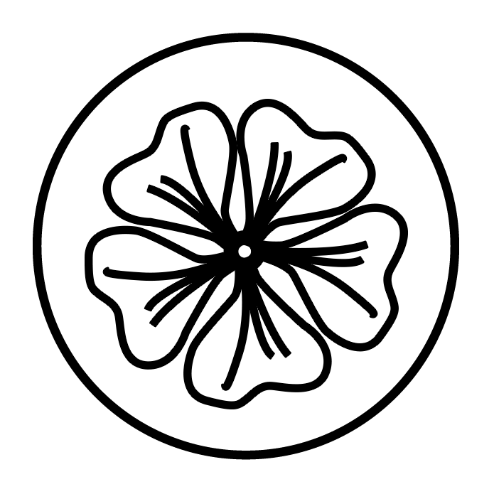 Nalba mare (extract standardizat din radacina) 