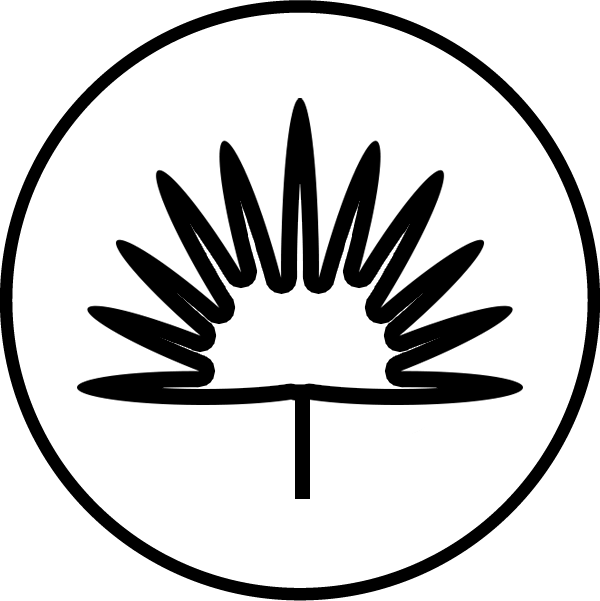 Fatty Acids Saw Palmeto