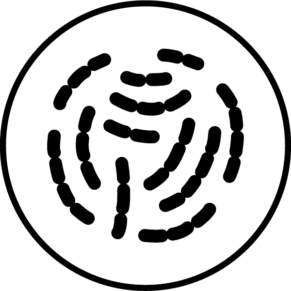 Bifidobacterium lactis