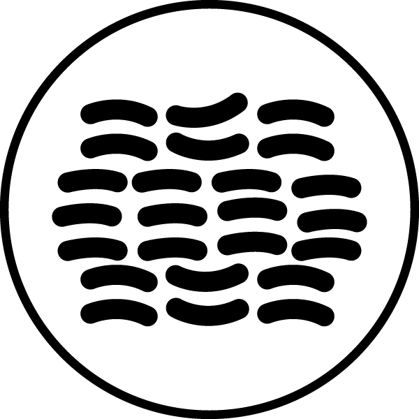 Lactobacillus rhamnosus