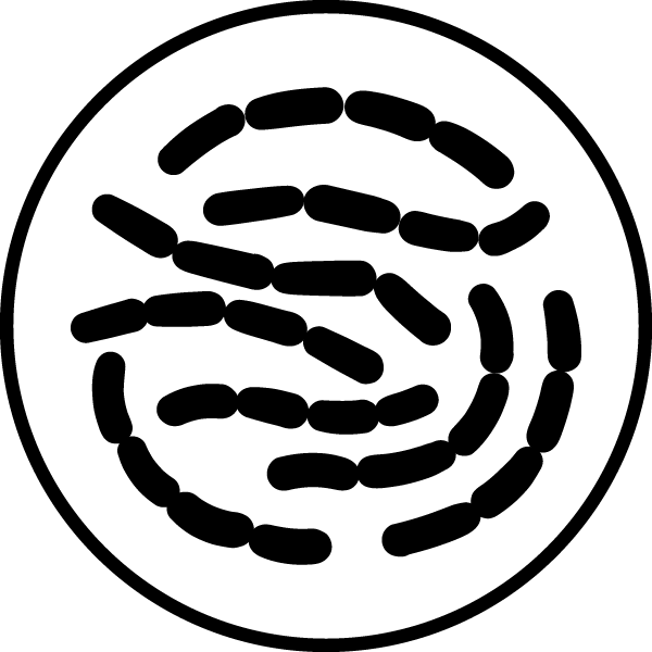 Patented blend of probiotic strains