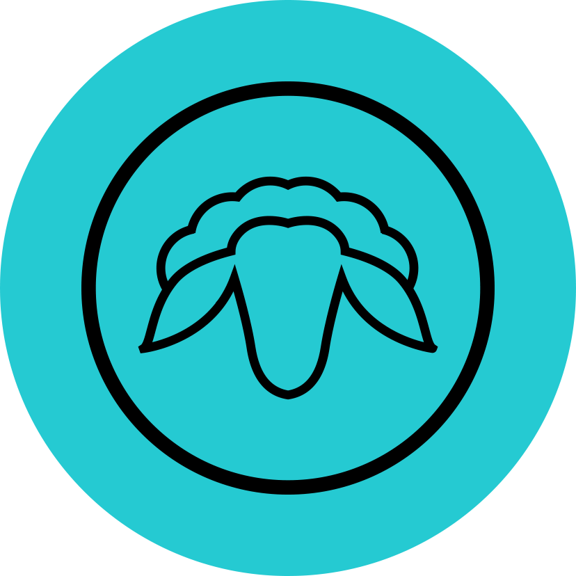 Vitamina D3 din lanolina