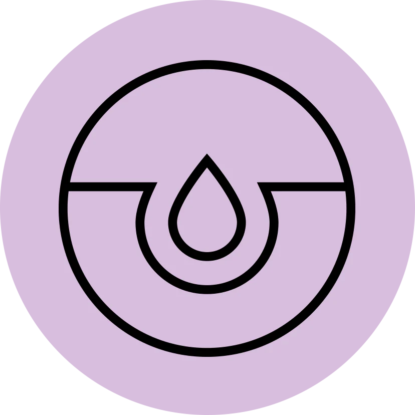 Absorbtie ridicata la nivelul celulelor organismului (de 3 ori mai mare vs. coenzima Q10 clasica)